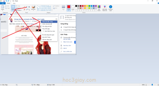 Hướng dẫn Crop ảnh bằng công cụ paint trên máy tính