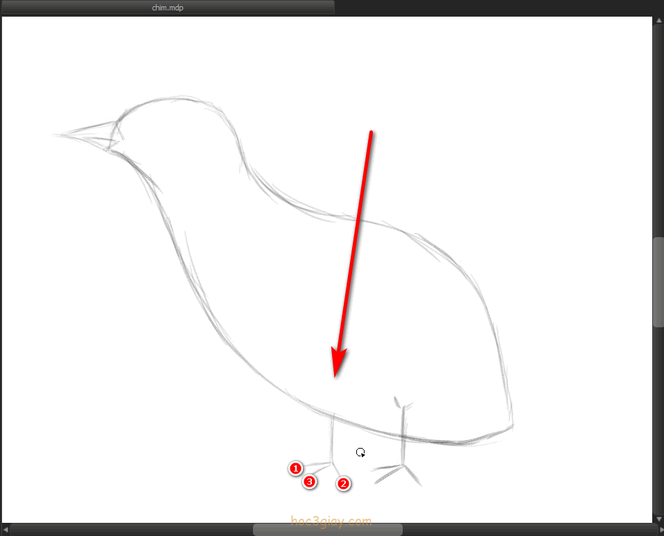 Hướng Dẫn Vẽ Chim Đơn Giản Mà Đẹp - Học 3 Giây
