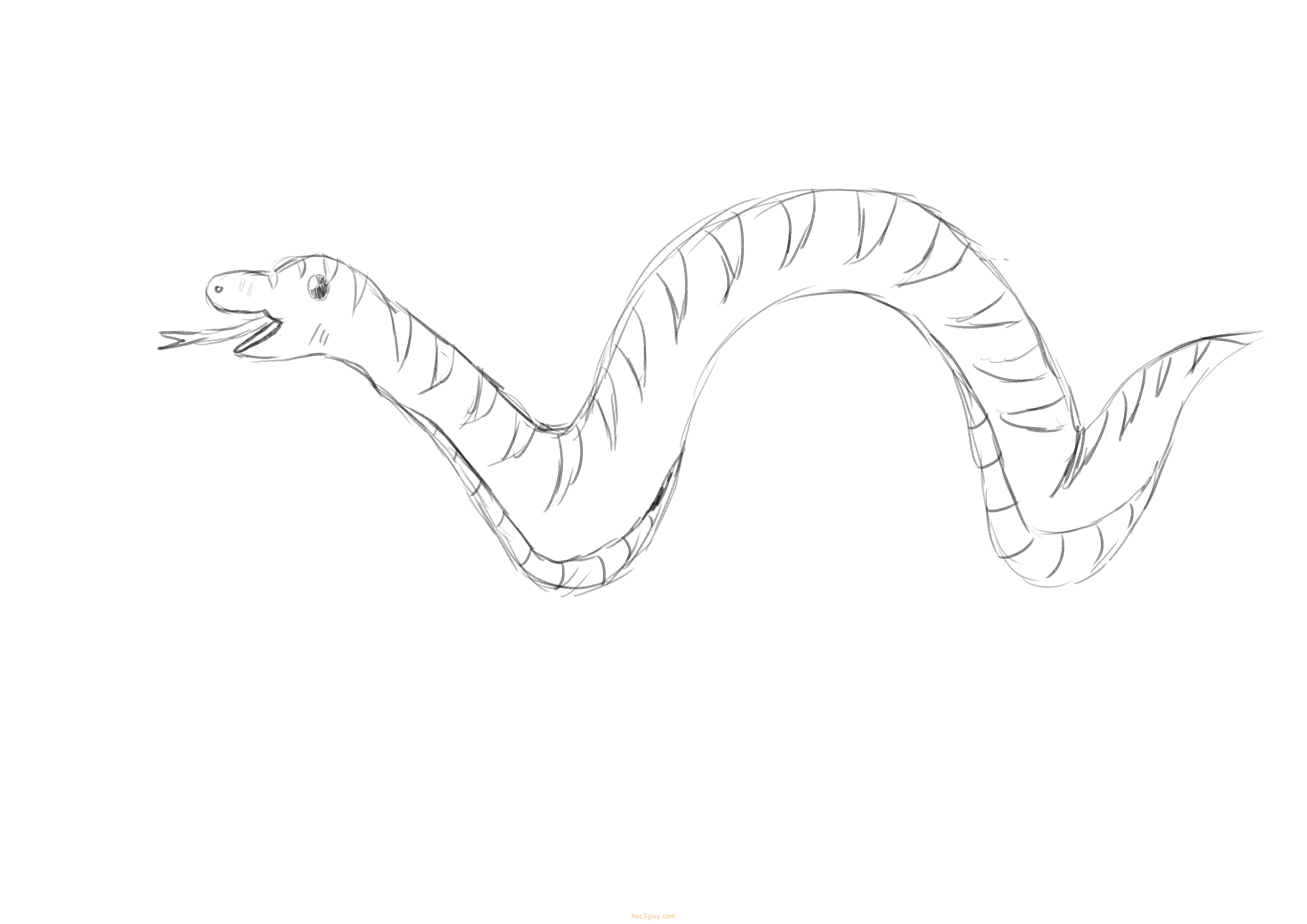 Bạn muốn học vẽ rắn đẹp một cách nhanh chóng? Chỉ với 3 giây học vẽ, bạn sẽ tìm thấy cách để tạo ra những bức tranh rắn đẹp mắt một cách dễ dàng. Hãy xem ảnh và khám phá những thủ thuật kỹ thuật chuyên nghiệp để trở thành một họa sĩ vô cùng tài năng.