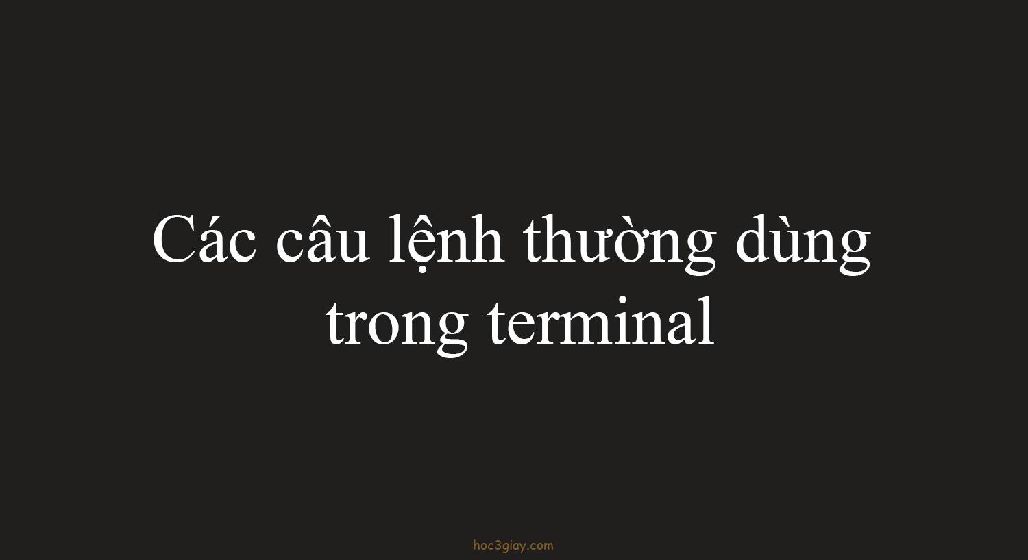 Các câu lệnh thường dùng trong terminal