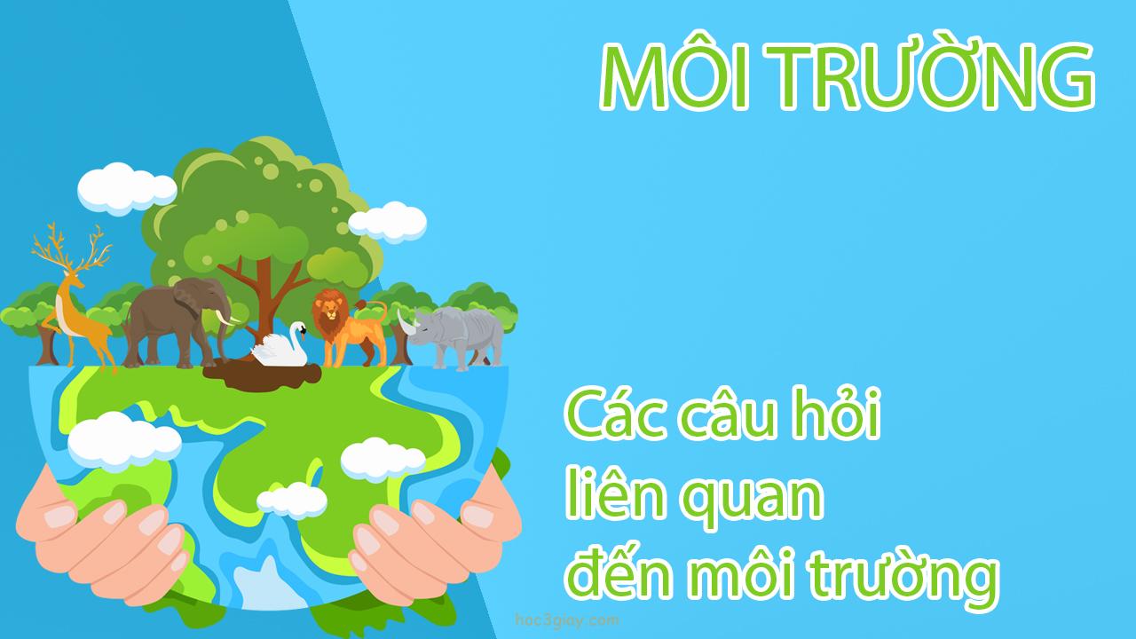 Các câu hỏi liên quan đến môi trường