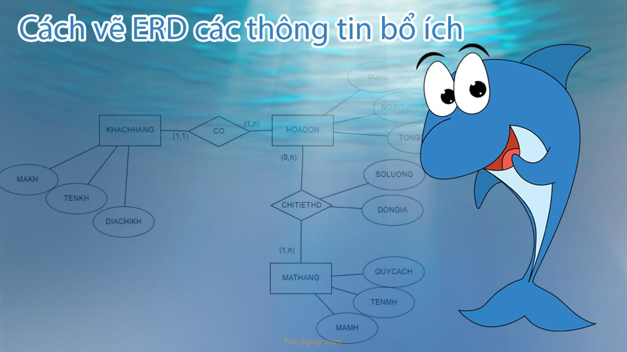 Các thành phần để vẽ nên ERD